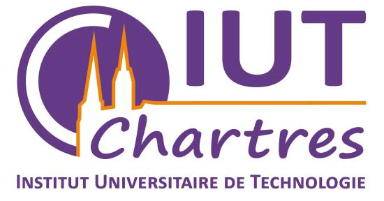 Logo IUT de Chartes